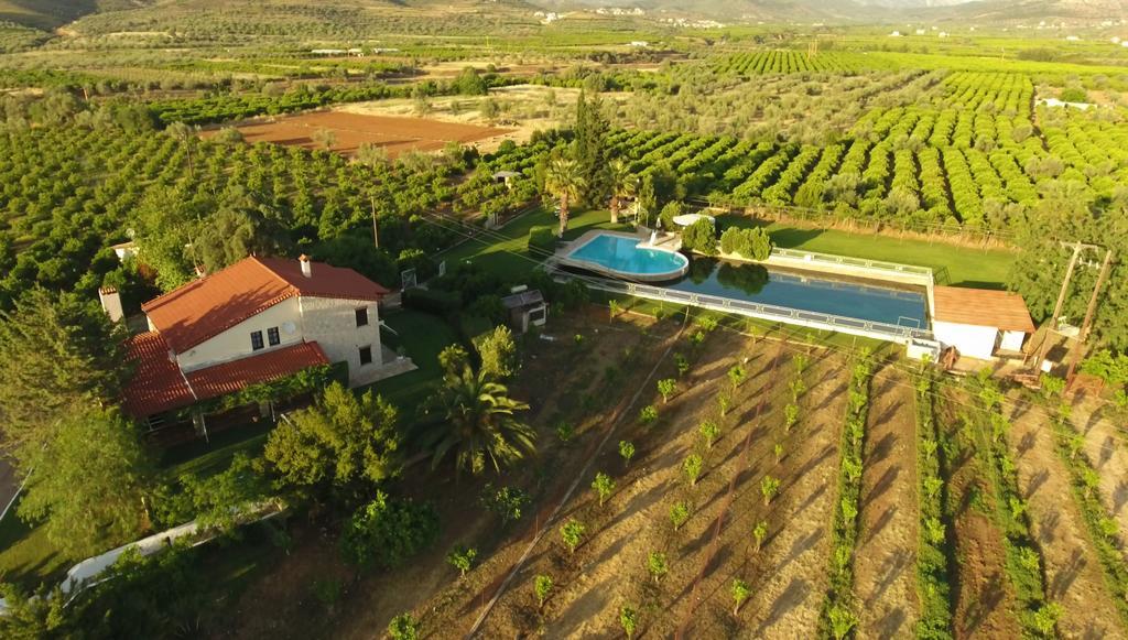 Orange Grove Villa Nea Tirins Esterno foto